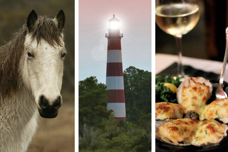 The Perfect Weekend Getaway in Chincoteague, Virginia